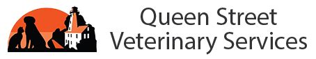 queen street vet.